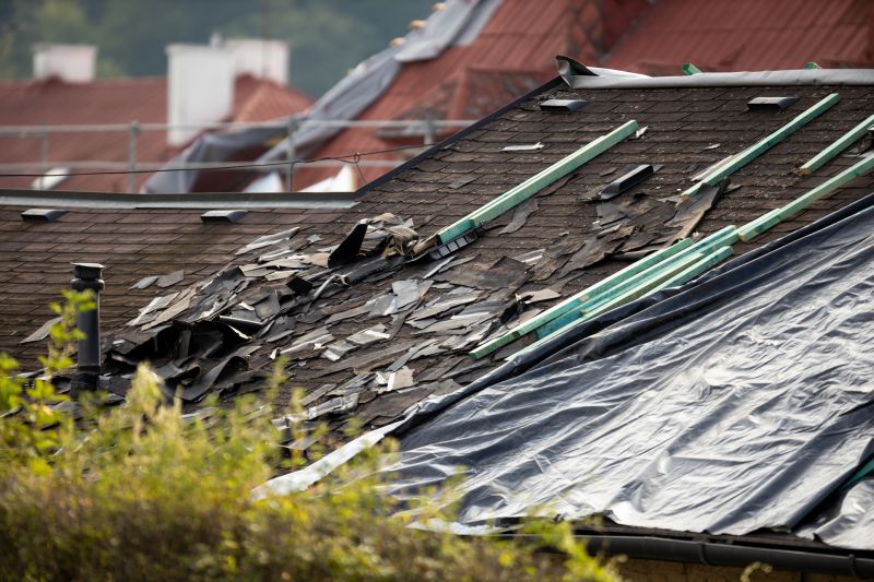 Hail Damage Roof Repair detail