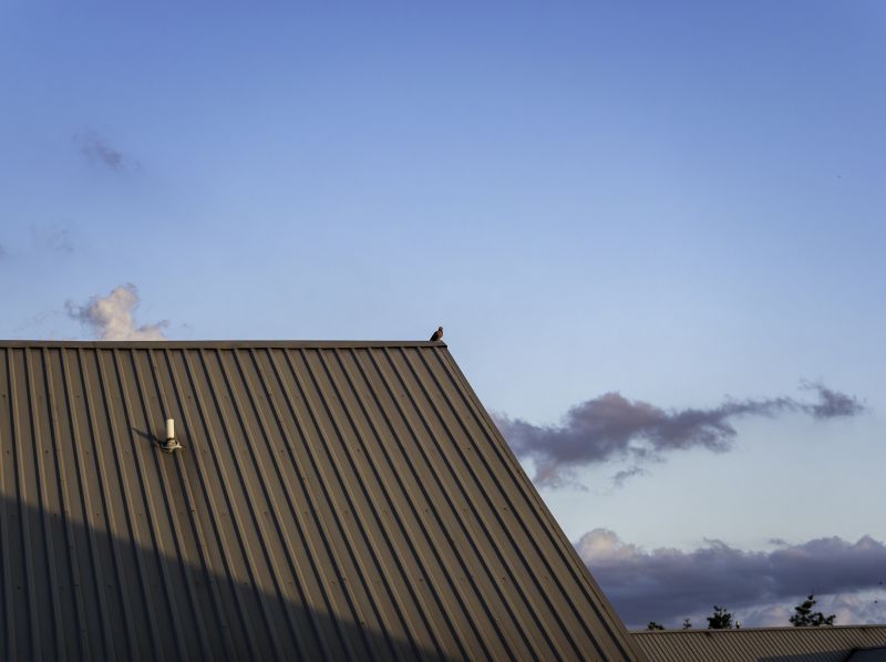 Steel Roof Replacement detail